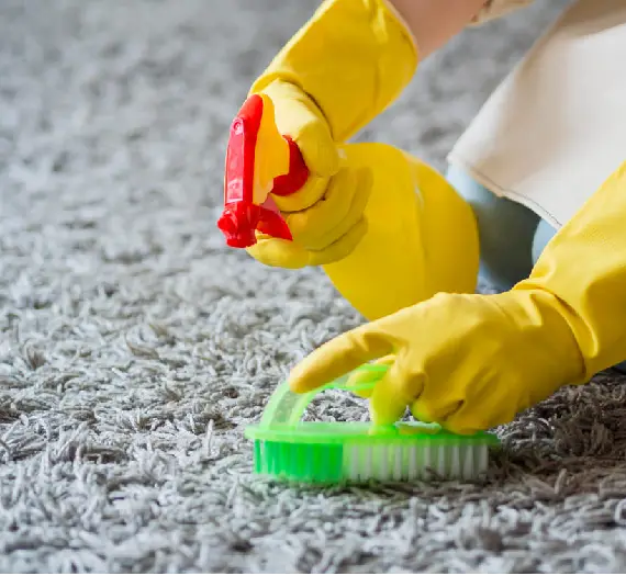 Choose the best among the best at Carpet Cleaning Preston